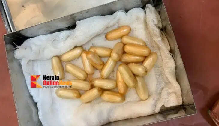 Mumbai Police state that 4,000 MDMA pills were smuggled into India from Germany, concealed in parcels.