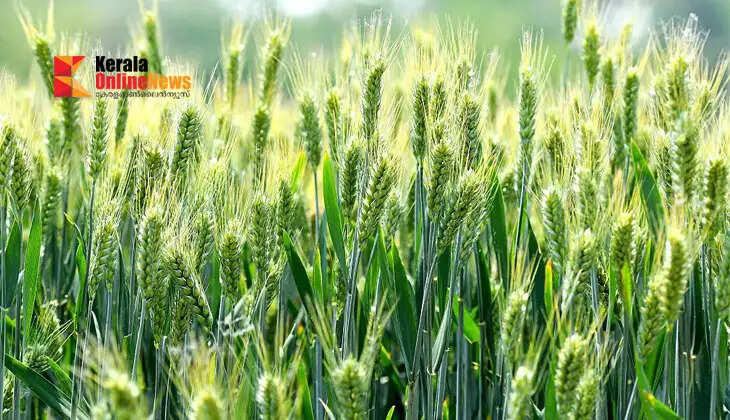 A new mission to protect farmlands; a nationwide campaign for Rabi cultivation