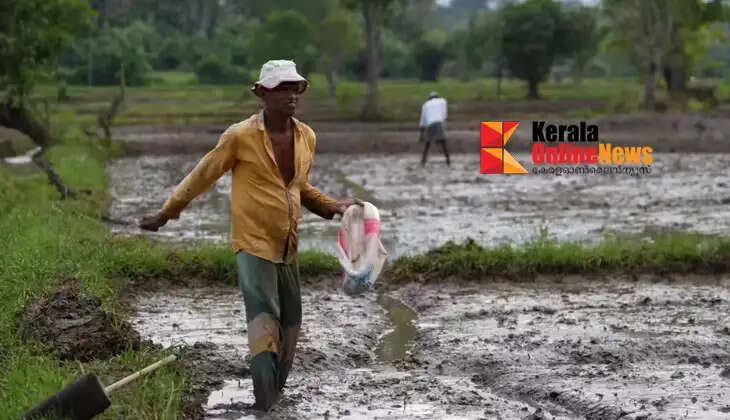 West Asian conflict: Fertilizer production in the country is declining