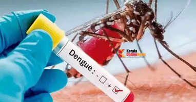 Dengue fever