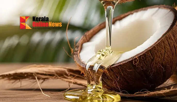 Two-year rise ends: Coconut oil price halved