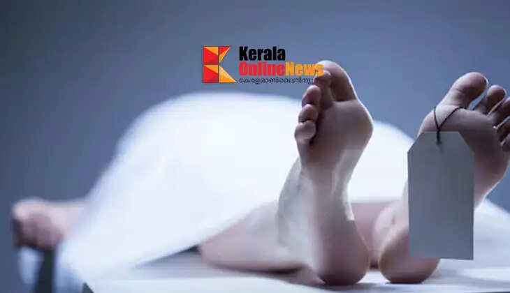 BSF jawan dies in Uttar Pradesh after selling gold to wife, shooting her while she was sleeping