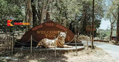 All India Tiger Census of tigers begins in Periyar Tiger Reserve