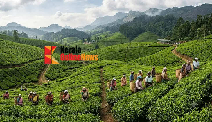 Extremely heavy rains: Theni district administration bans travel of plantation workers from Tamil Nadu to Idukki