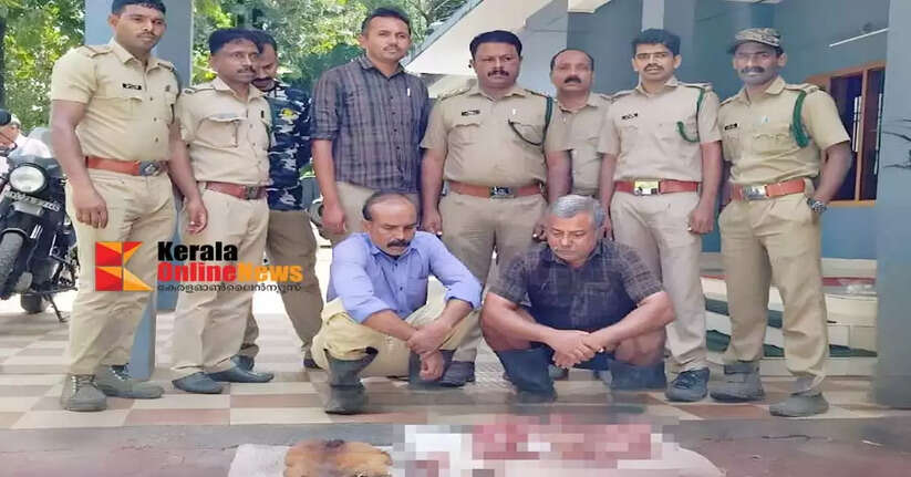 Brothers arrested for hunting deer in Pulpally Wayanad