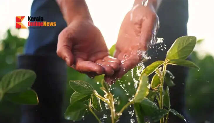 Let every drop reach the plant's roots; modern methods for water conservation.