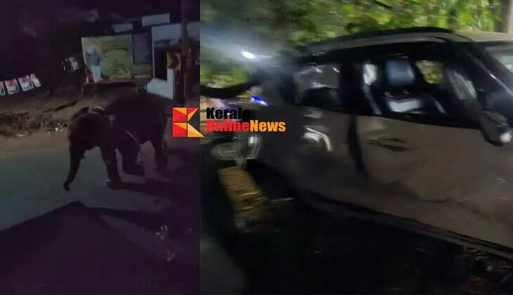 During the festival in Kannadiparampil Kannur an elephant broke through the temple's perimeter wall and ran onto the road damaging several vehicles