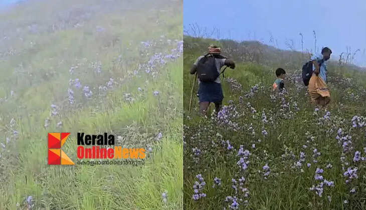 Reels cheated again..! Case filed against youths who got stuck in the forest while searching for Neelakurinji
