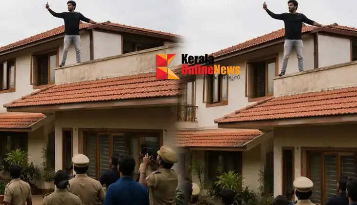  climbing on top of house