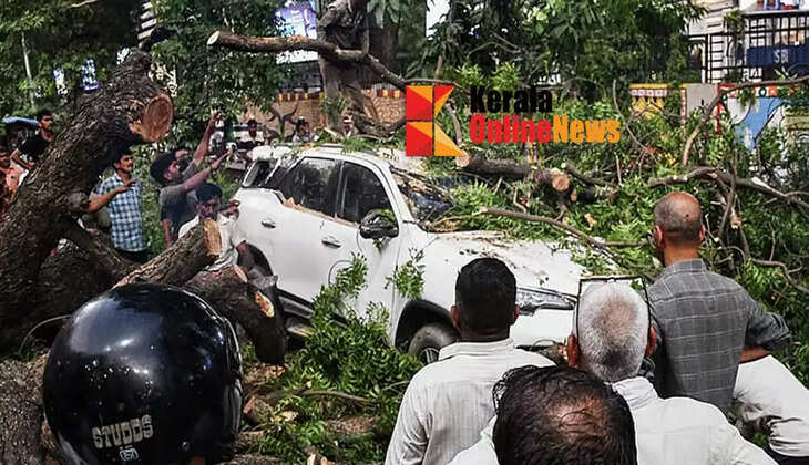 Storm and rain wreak havoc; Death toll in UP crosses 89