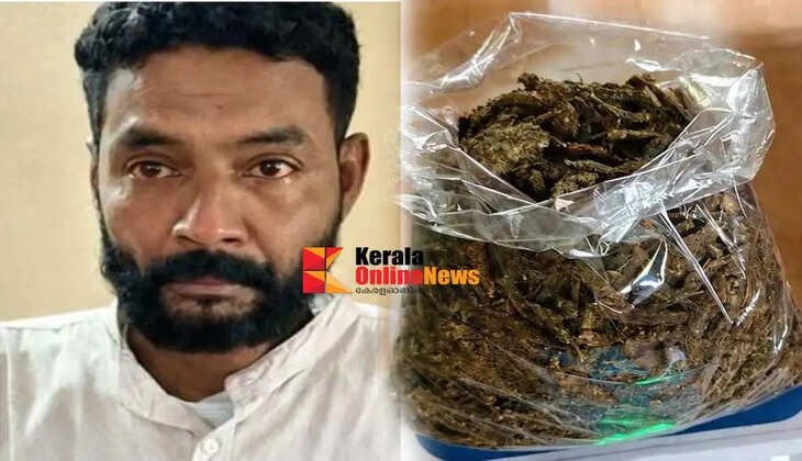 Youth arrested with half a kilogram of cannabis at Puthiya Theru Kannur