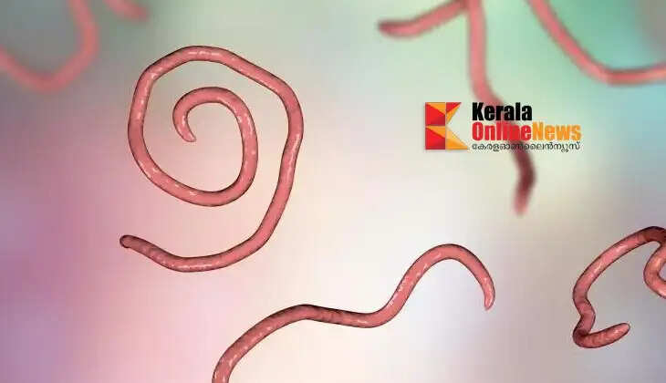 worm