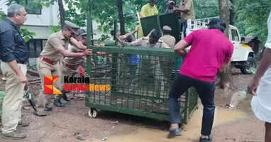 The forest department has set a trap in the Malampuzha area where the elephant disturbance has not ceased