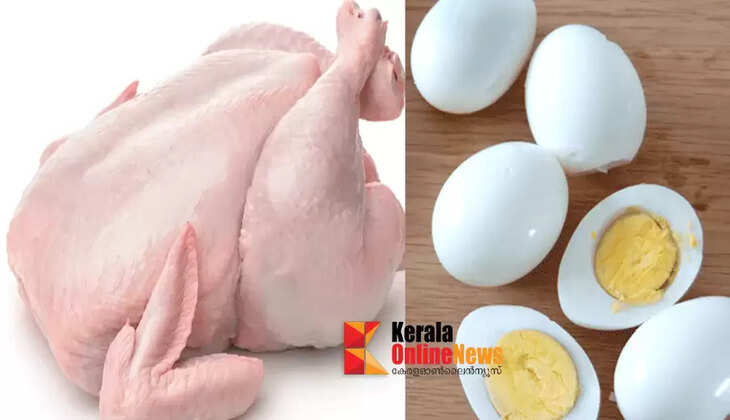 Saudi Arabia imposes ban on Indian chicken and eggs