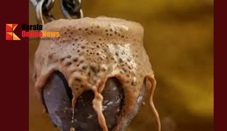 Let's make tandoori chai.