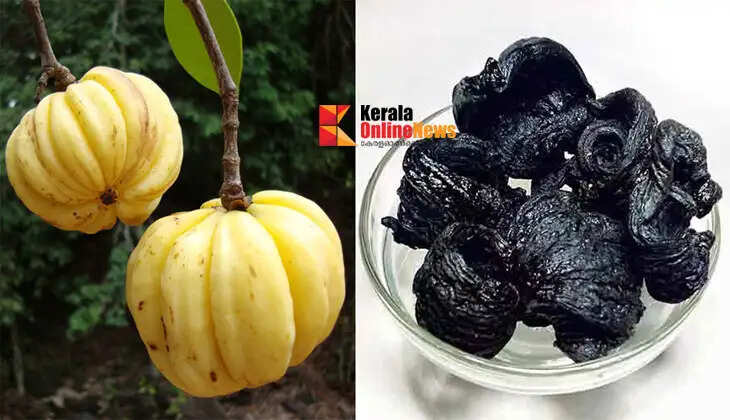 Don't take Kodampuli lightly...!