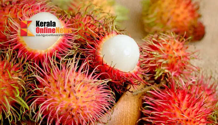 rambutan