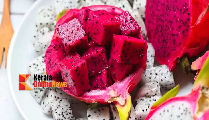 Dragon fruit