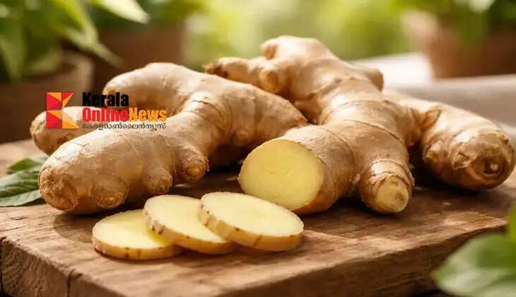 ginger