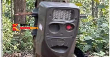 Three surveillance cameras installed by the Wildlife Department to detect the presence of tigers in Vaniyappara were stolen.