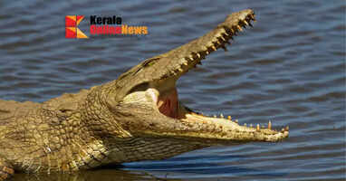 A woman was bitten and dragged to death by a crocodile while bathing in a river