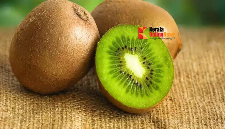 kiwi