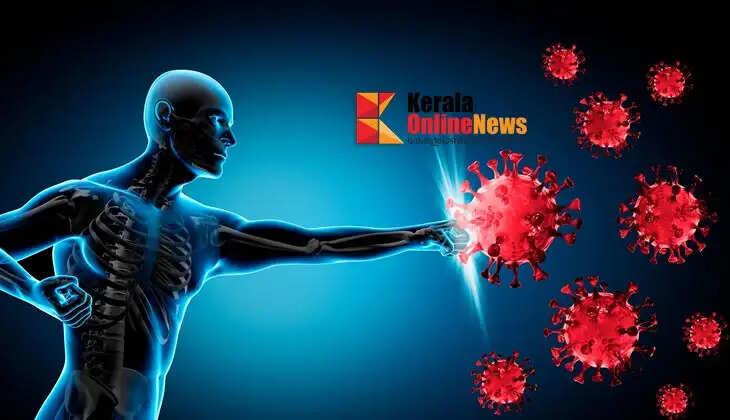 immune system