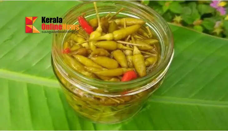 Enjoy the steaming hot rice; Just salt the chillies