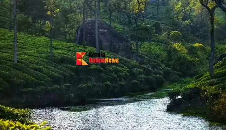 A journey into the uncrowded lap of nature; the beauty of Kerala after the monsoon.