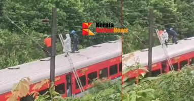 Tree branches fall on train running in Cheruthuruthi; no injuries reported
