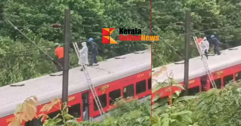 Tree branches fall on train running in Cheruthuruthi; no injuries reported
