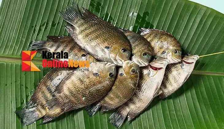 These districts produce the best karimeen in Kerala