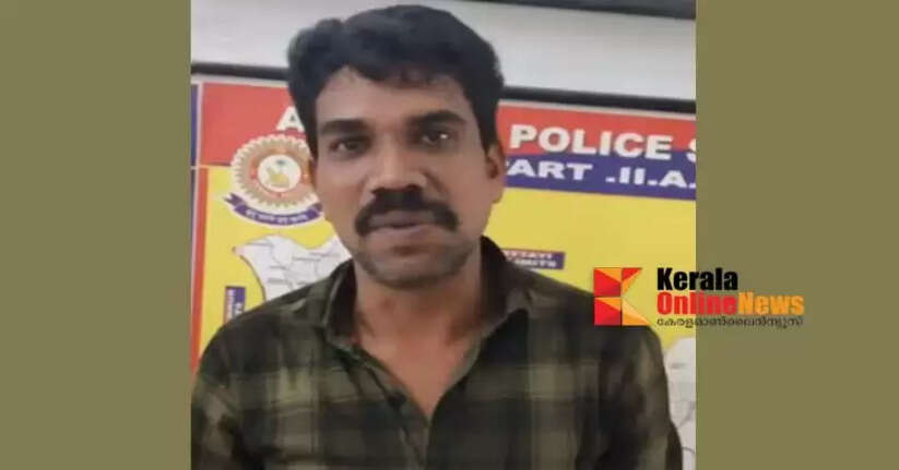 Palakkad ganja case suspect arrested after being released on bail