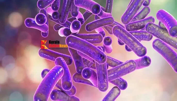 shigella