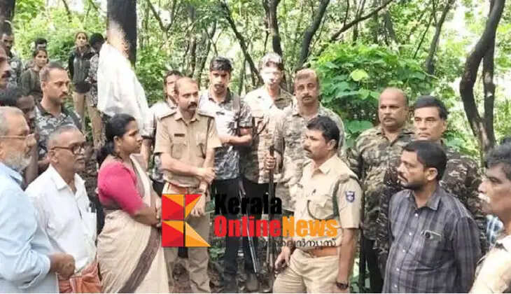 Fear of leopards continues in Kannur cyclone; leopard seen catching wild boar in Kolathur