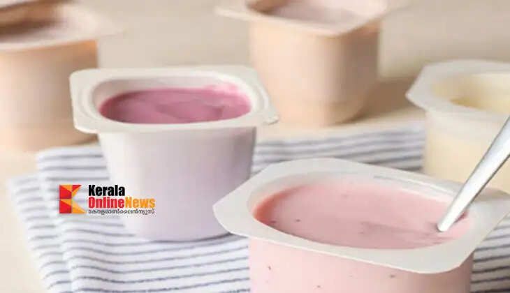 Avoid flavored yogurt during summer; Things to keep in mind