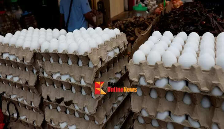 Egg prices rise in Indian cities