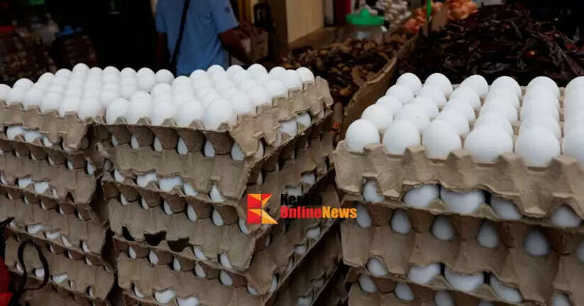 Egg prices rise in Indian cities