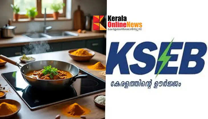 Solution to gas crisis: KSEB issues guidelines on induction cooking during daytime