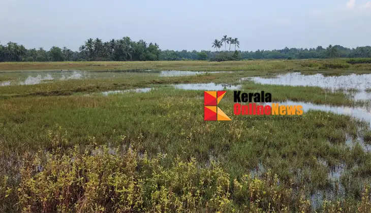 75 lakhs administrative approval for construction of Kannur Kunian salt water resistance bund