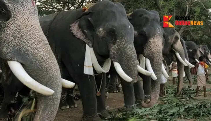 No cruelty towards captive elephants; they should be treated with care and respect, viewing them as divine incarnations: Supreme Court.