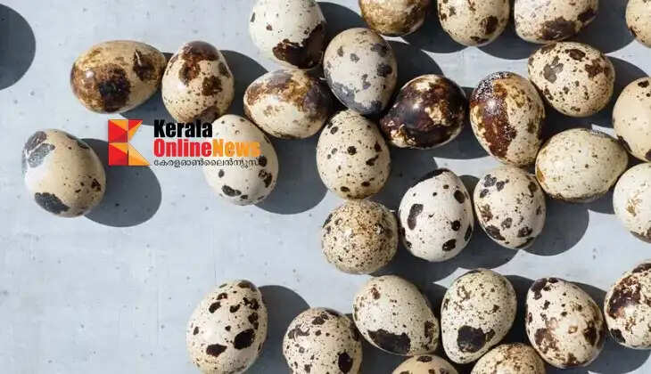 quail eggs