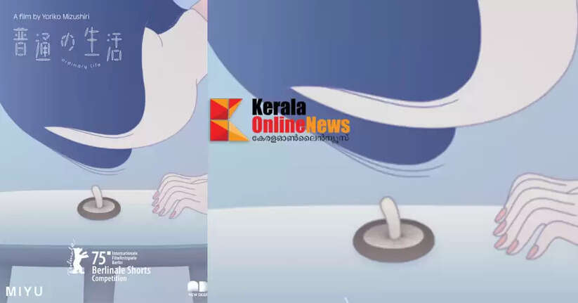 IDSFFK Festival Winners category with films that have shone at international festivals