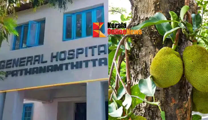 Patient in Pathanamthitta for treatment suffers head injury after jackfruit falls on head; health condition satisfactory