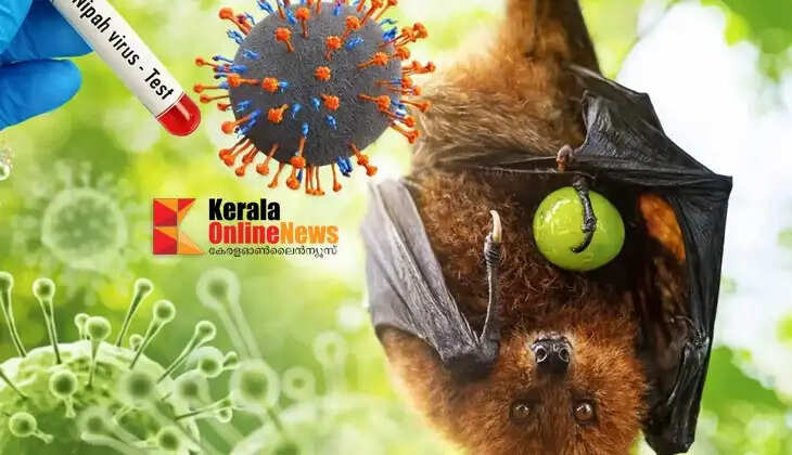 nipah virus