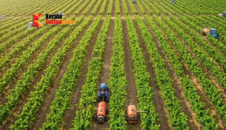 Millions of new jobs can be created in South Asian countries: World Bank Group