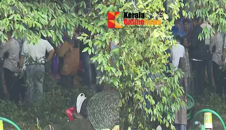 Skeleton found during examination in Dharmasthala; Confirmed to be human, doubted to be male