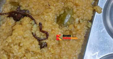 Dead snake found in midday meal at government school in Bihar; 200 children hospitalized