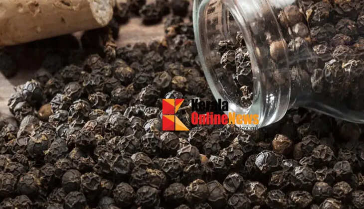 The price of pepper is gold; it has crossed 700 per kilo,