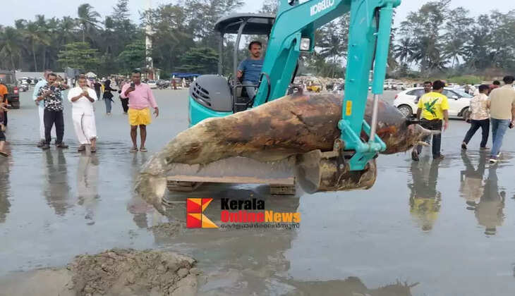 The body of a huge dolphin washed ashore at Muzhappilangad Drive In Beach Kannur